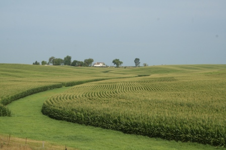 Name:  Iowa-Corn-Fields-from-Third-Heaven-Ranch.png
Views: 7371
Size:  198.1 KB
