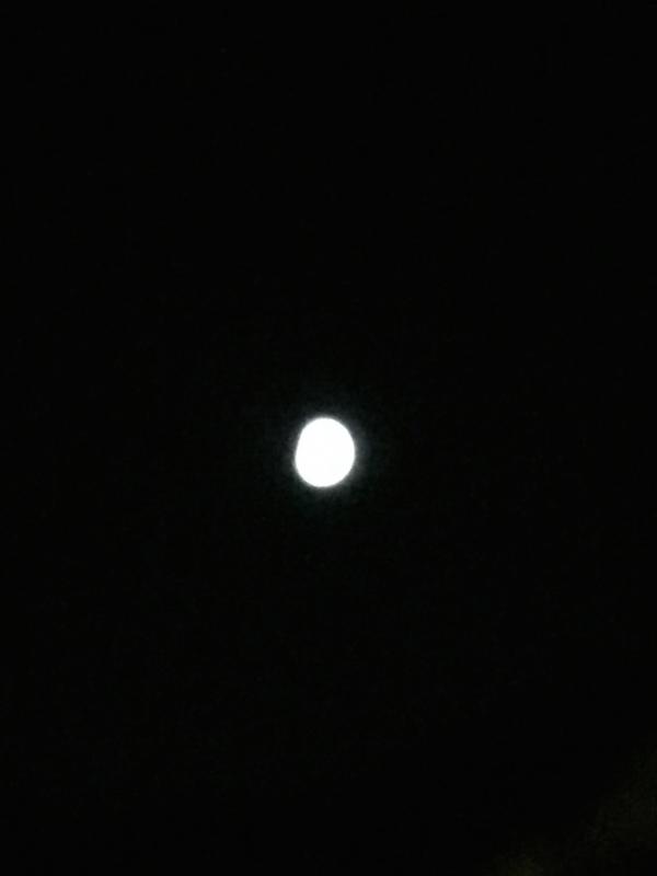 Name:  Lunar Eclipse Small.jpg
Views: 85
Size:  11.0 KB