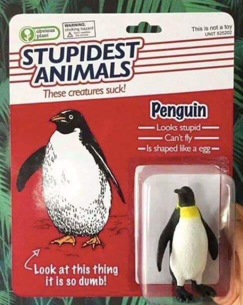 Name:  penguin dumb.jpg
Views: 161
Size:  43.0 KB
