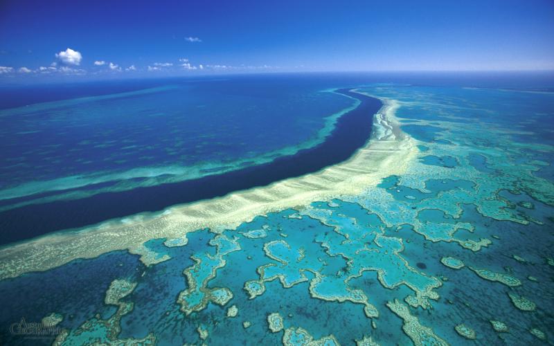 Name:  great-barrier-reef-hardy.jpg
Views: 507
Size:  56.3 KB